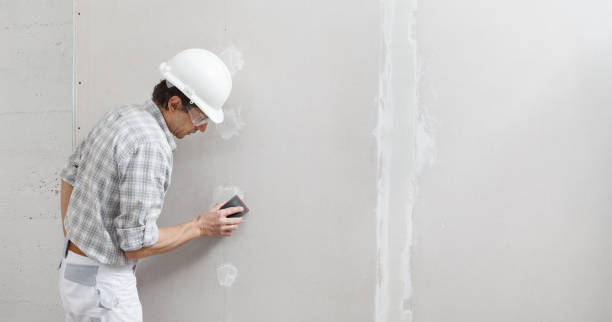 Trusted Allen, TX Mold Removal Experts