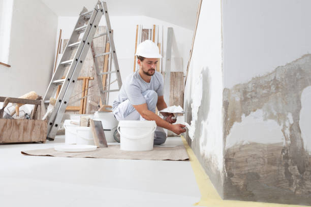 Best Mold Removal for HVAC Installations  in Allen, TX