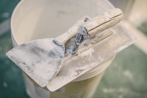 Best Biohazard Mold Removal  in Allen, TX