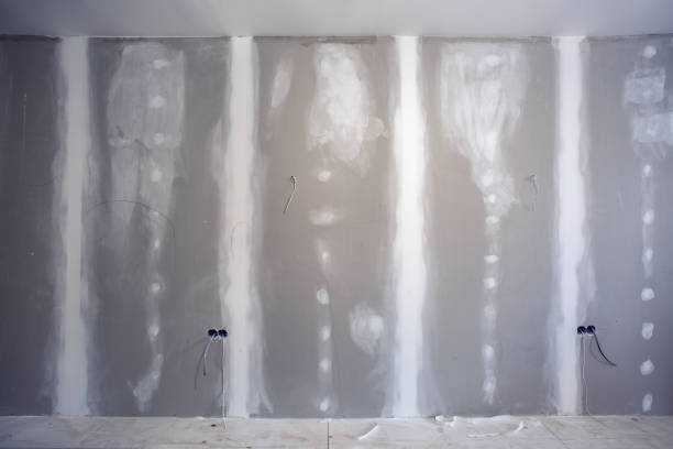 Best Dehumidification Services  in Allen, TX